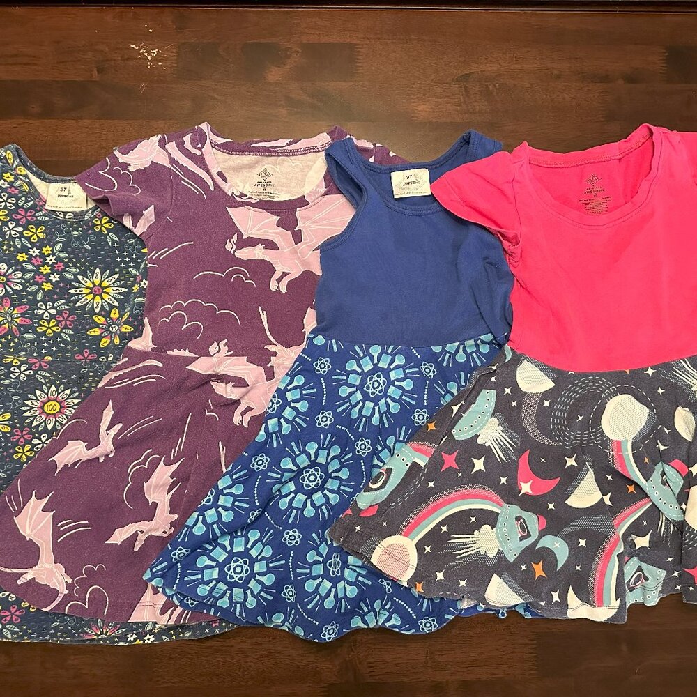 Princess Awesome Dress Bundle 3T